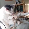 camille_rien