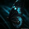 ahmedsobhy17576