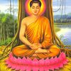 kavitakavita0764