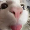 immmmmaaaaaaa