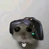 shadowkinni