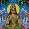 nayaka_najata