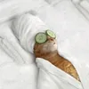 lazycat.mm