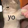 lucasmacgvr