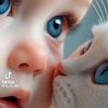 nihan8961