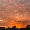 nature_985
