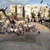 anaam229