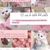 www.tiktok.comwww.tik002