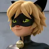 jaf_er313