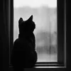 meowtaphat