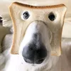 varo._.00