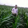 azizhamdoun769
