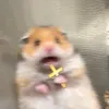 tvfbnbtsle