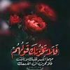 amiranour682