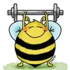 strongbeehappybee