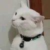 _vix444