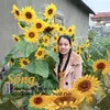 trantha_._1985