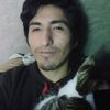 bradt_666
