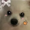 cucbo38