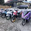 hatiihampa6