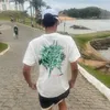 bf.dutra