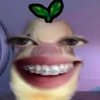xx_x0x0