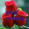 md.abdullah15221