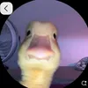 hellorobloxplayer1234