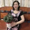 hanhnguyen75dt