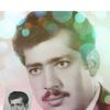 ahli8868