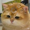 nnynyyq