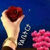 user4656930800791