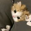 bye7395