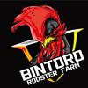 Bintoro Rooster Farm