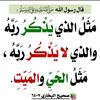 user7676891037507