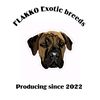 Flakko Boerboels 🐶🎯