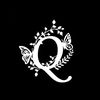 qhy538