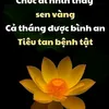 userf5a8iklat2khuyen