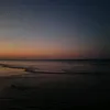teextimes