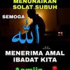 ijam786