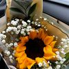 sunny_donut