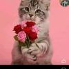 glenda.bonilla50