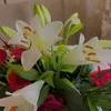 fouzia212730