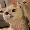 _.feltcute._