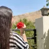 marina_sh_dolamari