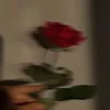 zuzannaaa_aa