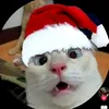 emillyzinhaalegre
