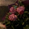luux._.hadil.16