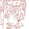 emily !!!! 🐅