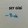 senigidiseni06